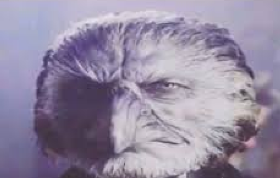 Alexander 🏴‍☠️ tweet media