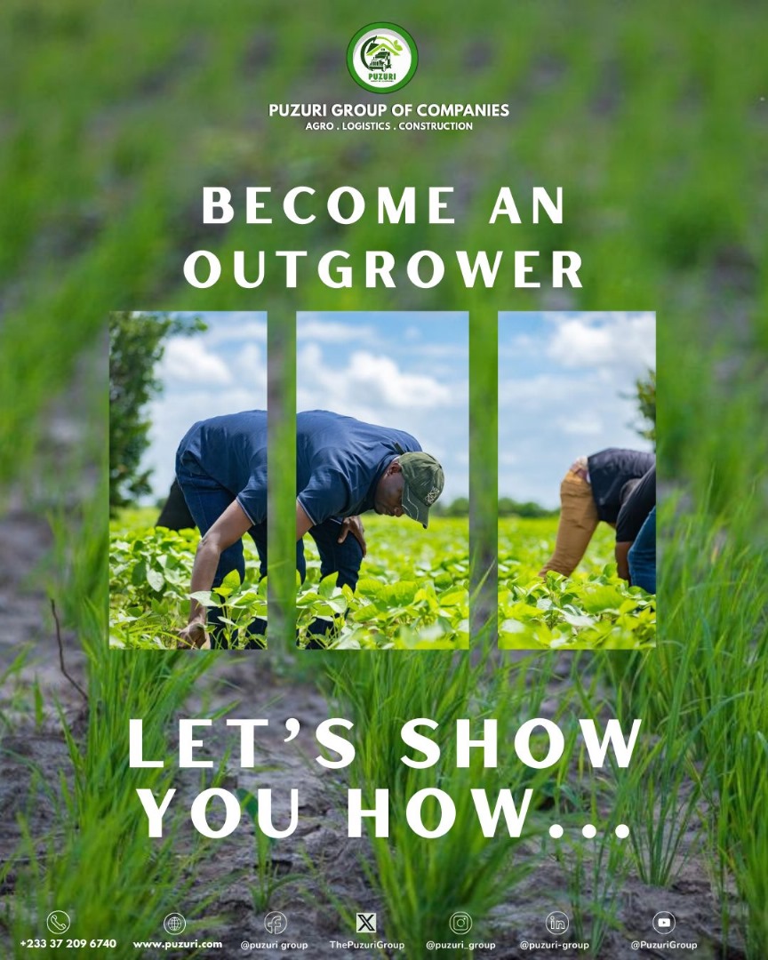 ThePuzuriGroup's tweet photo. Want to Grow With Us?
We’re calling all soil lovers.

The Puzuri Outgrower Program isn’t your average agri-vibe. This isn’t charity. It’s change, powered by you, backed by us.
Slide in our DMs or hit us up to get started.
Your land’s waiting.
Contact
+233372096740
info@puzuri.com https://t.co/r8u19p0V0x