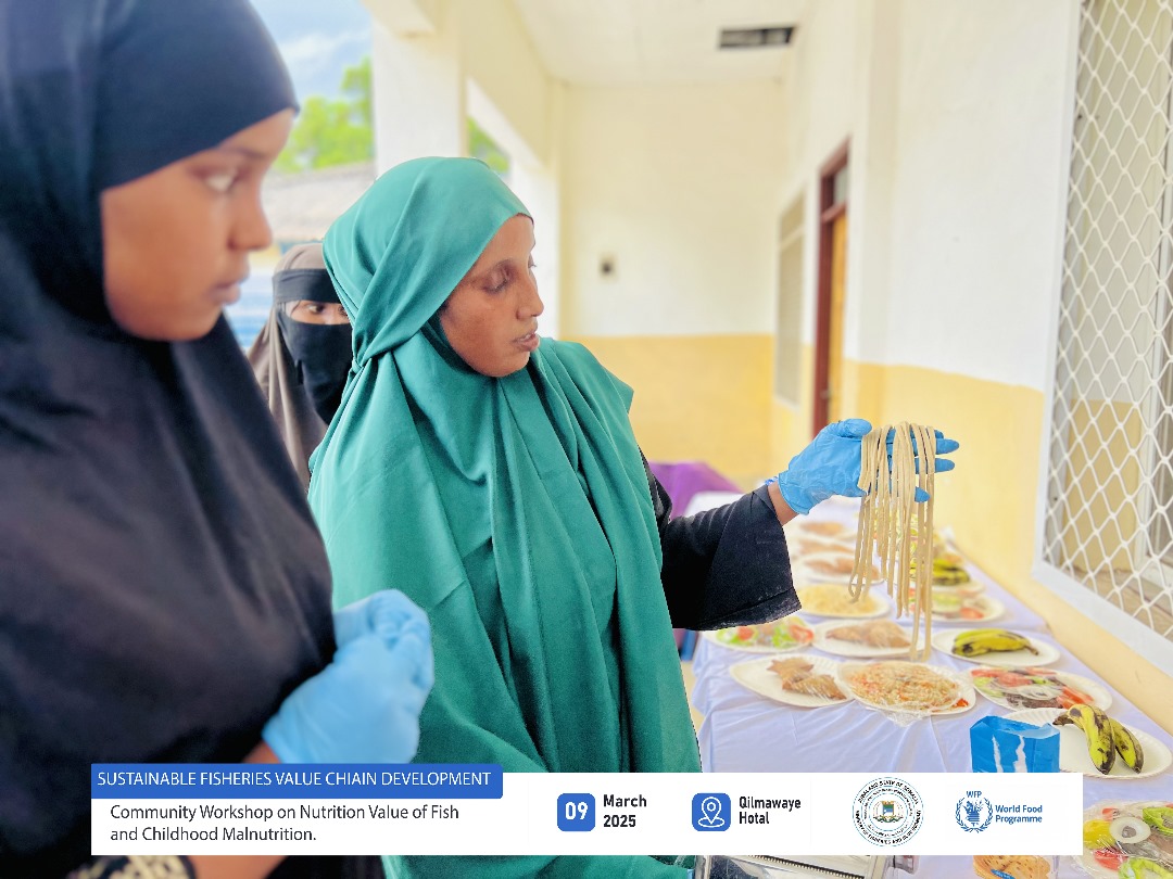 Ministry Of Fisheries & Blue Economy Jubaland tweet media