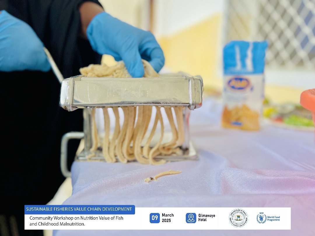 Ministry Of Fisheries & Blue Economy Jubaland tweet media