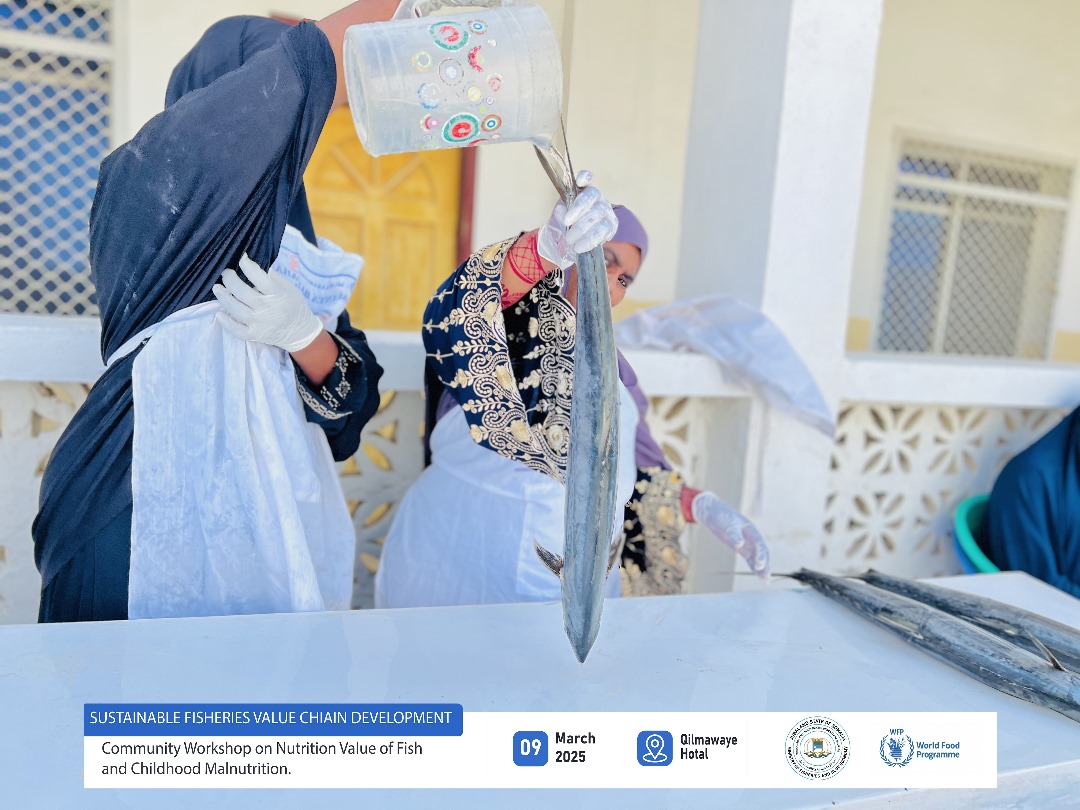 Ministry Of Fisheries & Blue Economy Jubaland tweet media