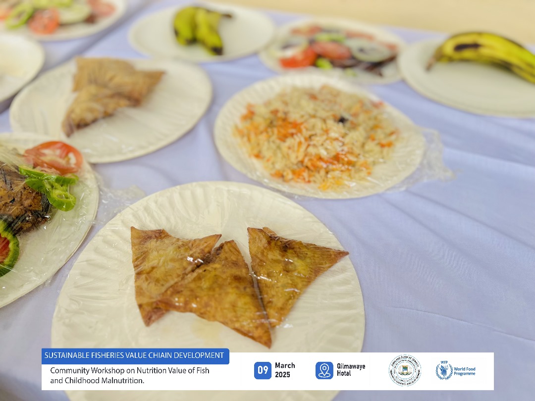 Ministry Of Fisheries & Blue Economy Jubaland (@mofbejl) on Twitter photo 1/2. <a href="/Mofbejl/">Ministry Of Fisheries & Blue Economy Jubaland</a>, with support from <a href="/WFPSomalia/">WFP Somalia</a>, trained 40 women on the nutritional value of fish to combat childhood malnutrition. Participants learned how to make Fish-pasta, Fish-cake & Fish-bread. A step forward in empowering communities through nutrition & innovation! 1/2. <a href="/Mofbejl/">Ministry Of Fisheries & Blue Economy Jubaland</a>, with support from <a href="/WFPSomalia/">WFP Somalia</a>, trained 40 women on the nutritional value of fish to combat childhood malnutrition. Participants learned how to make Fish-pasta, Fish-cake & Fish-bread. A step forward in empowering communities through nutrition & innovation!