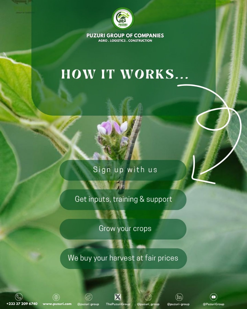 ThePuzuriGroup's tweet photo. Want to Grow With Us?
We’re calling all soil lovers.

The Puzuri Outgrower Program isn’t your average agri-vibe. This isn’t charity. It’s change, powered by you, backed by us.
Slide in our DMs or hit us up to get started.
Your land’s waiting.
Contact
+233372096740
info@puzuri.com https://t.co/r8u19p0V0x