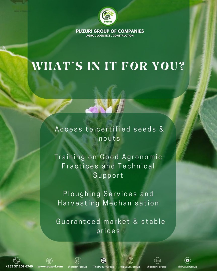 ThePuzuriGroup's tweet photo. Want to Grow With Us?
We’re calling all soil lovers.

The Puzuri Outgrower Program isn’t your average agri-vibe. This isn’t charity. It’s change, powered by you, backed by us.
Slide in our DMs or hit us up to get started.
Your land’s waiting.
Contact
+233372096740
info@puzuri.com https://t.co/r8u19p0V0x