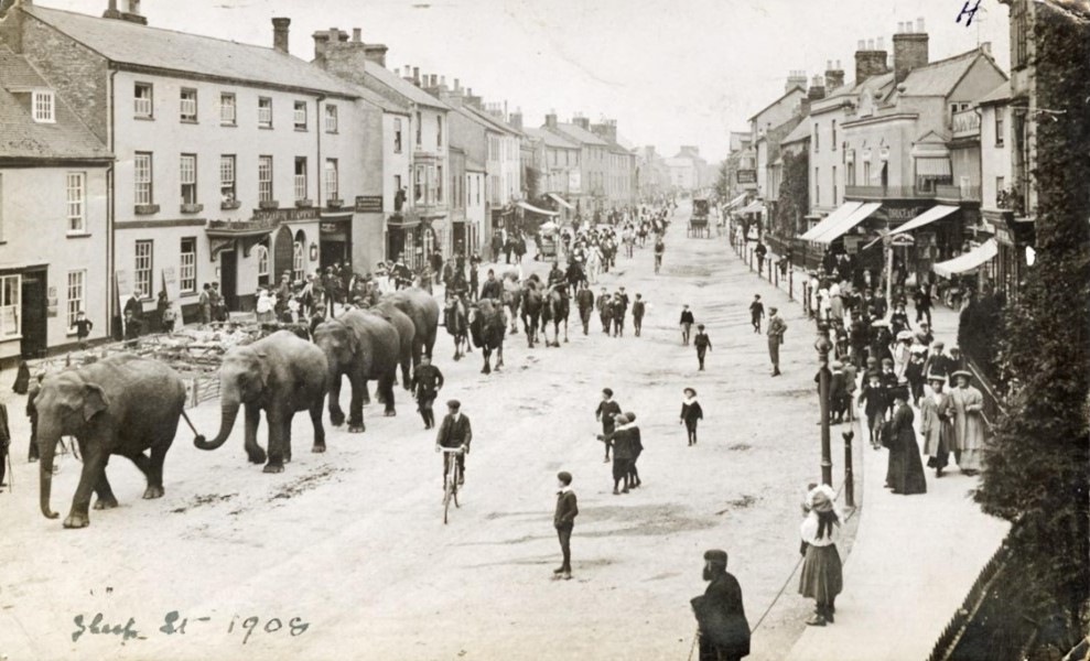 Oxon History Centre (@oxhist) on Twitter photo Elephants, camels and horses on Sheep Street, Bicester, 1908 – how’s that for #ArchiveAnimals ? #Archive30 Elephants, camels and horses on Sheep Street, Bicester, 1908 – how’s that for #ArchiveAnimals ? #Archive30