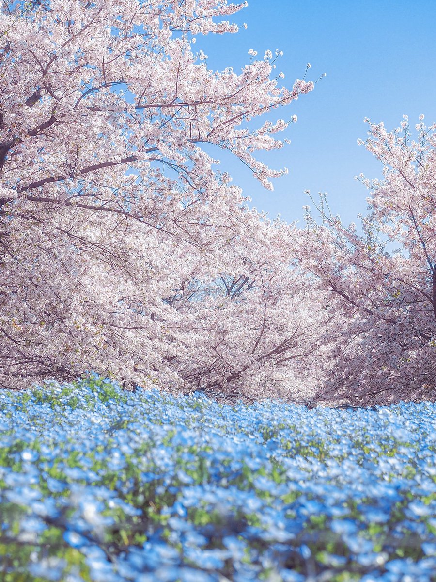 るなページ Luna (@ln2119) / Posts / X