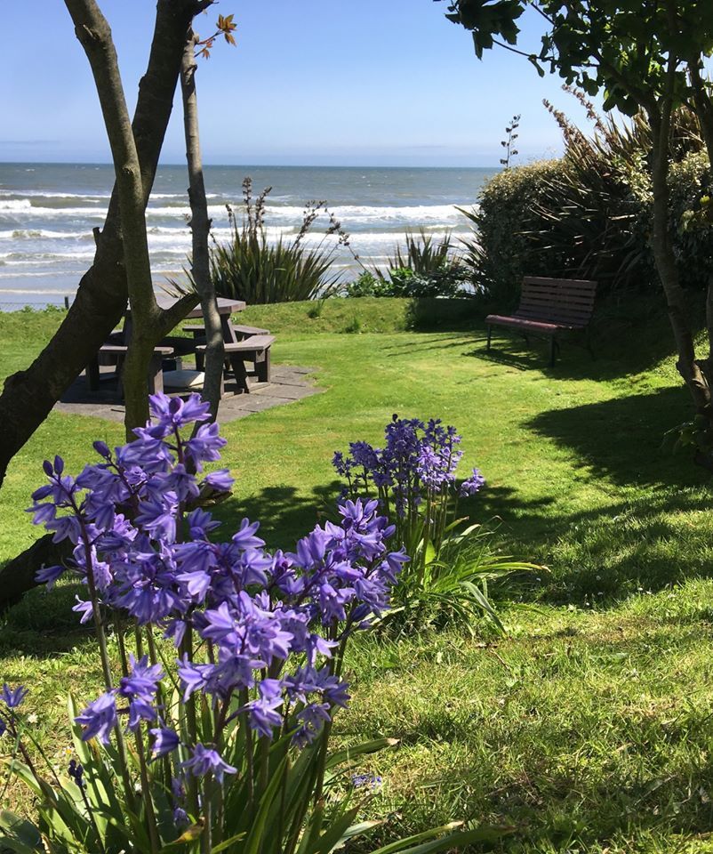 TheHolidayCots's tweet photo. 🌸 Late Easter Availability! 🌸
Looking for a charming coastal escape this Easter? Both Honeymoon Cottage & Garden Cottage are available during the Easter Bank Holiday (18th–21st April)!
🛏️ Sleeps 1-6
https://t.co/oI9juMI7Uu
#Easter #LateAvailability #Laytown @TheCottagesIre https://t.co/mW3c09nIX1