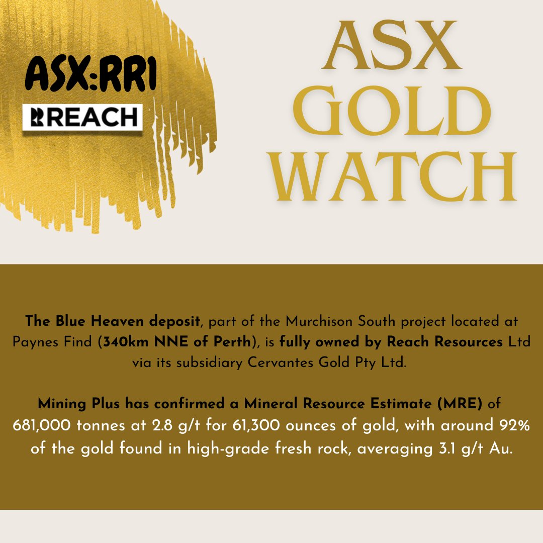 that stock chick tweet media