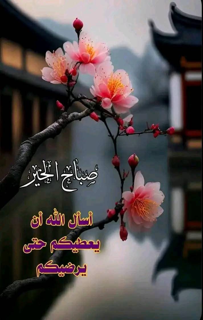 صباح الخير