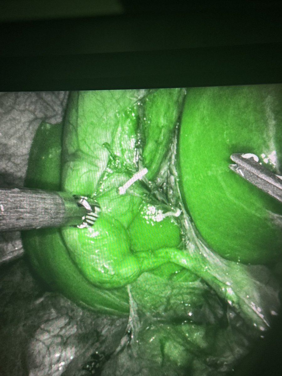 Doris Kim, MD tweet media