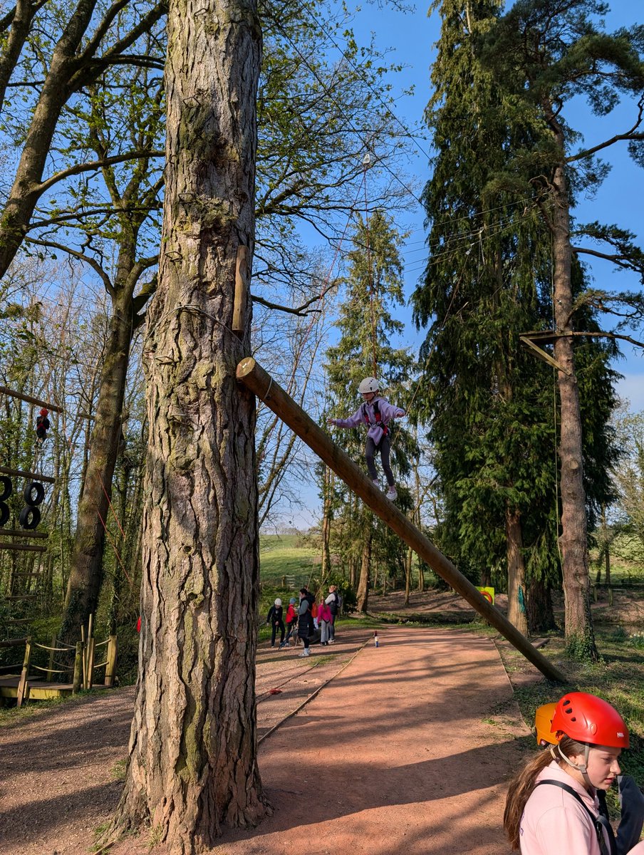 YearFiveBPS's tweet image. We are ready for the balance beam! Let's do this! @Blackwood_PS