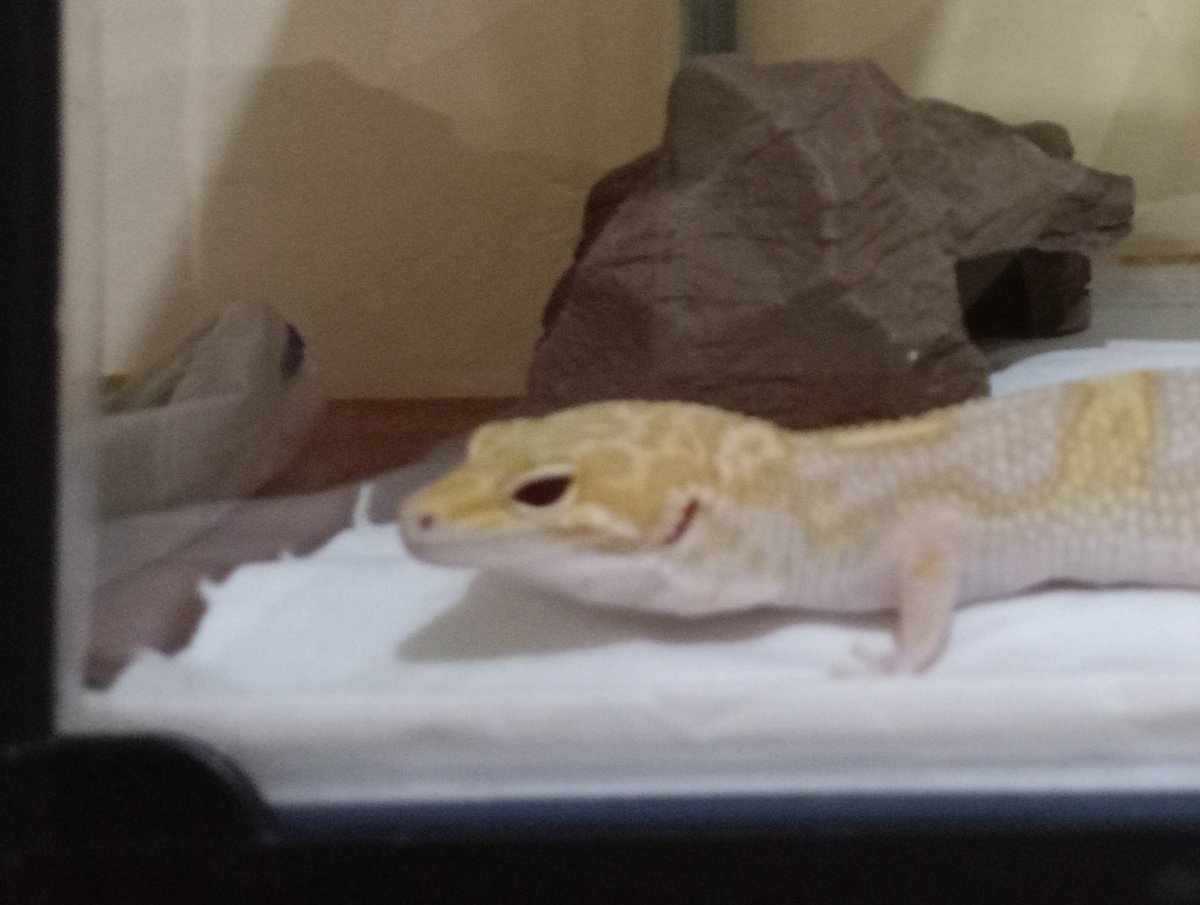 hs_chep's tweet photo. The blurry take of my son ✨
Cause I'm bored :v https://t.co/LBgaTrLUOk