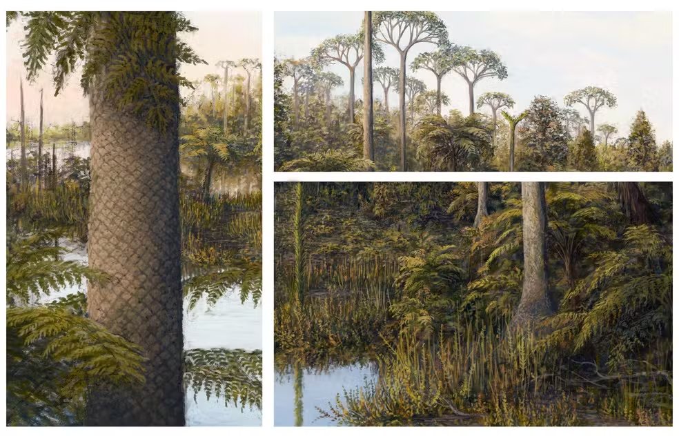 g1rs's tweet photo. Bosque fossilizado com 260 milhões de anos no RS é tema de artigo internacional https://t.co/XdOUC0Jg1w #g1RS https://t.co/eKz6yJPiqX