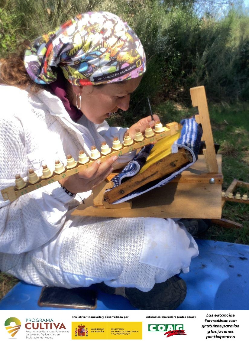 Seguimos con  el #programaCULTIVA en la explotación #apicolaecologica 🐝 de Félix <a href="/mielsalvaxe/">mielsalvaxe</a>  #VegadeEspinareda (#León) . La alumna Natalia Rita Diez #ecoalpispa aprendiendo técnicas de cría de reinas🐝👑
👉goo.su/rkURT5 
👉goo.su/2oKO2
@mapagob
<a href="/CoagCyl/">COAG CyL</a>