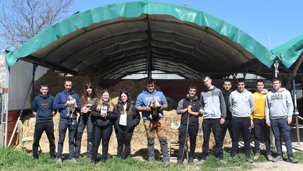 Proyecto "Gallina campera de Peralta"
…iberadelarga.web.educacion.navarra.es/w/proyecto-gal…