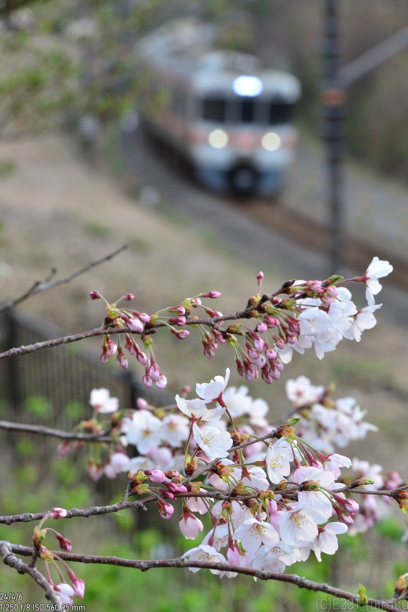 のぶお𝓳𝓽 (@E231_tuiraku) / X