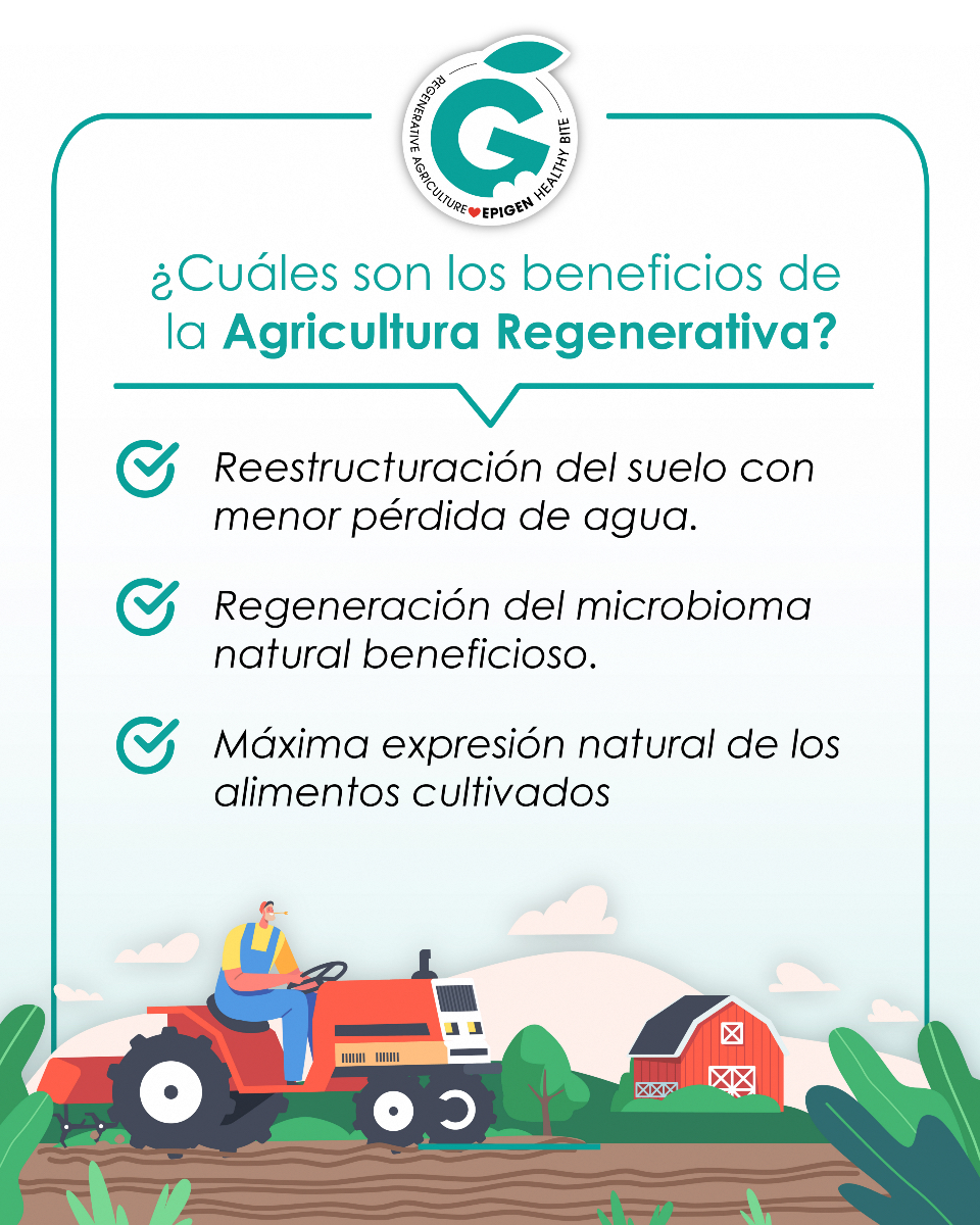 ¿Cuáles son los beneficios de la #agriculturaregenerativa 🌱?

✔️ Reestructuración del #suelo con menor pérdida de agua
✔️ Regeneración del #microbioma natural beneficioso
✔️ Máxima expresión natural de los alimentos cultivados 

#Salud en cada bocado