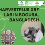 Photo by HarvestPlus/Bangladesh (@HarvestplusB)