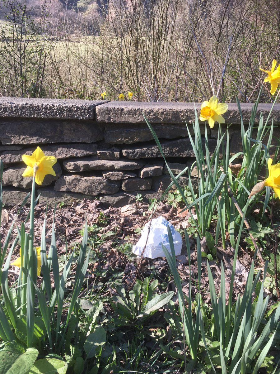 Ian H🪶 tweet media