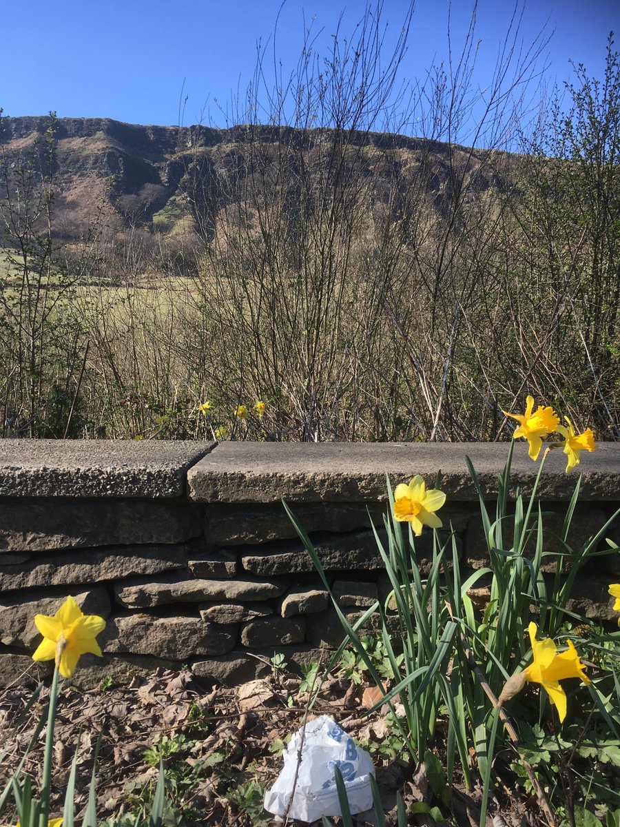 Ian H🪶 tweet media