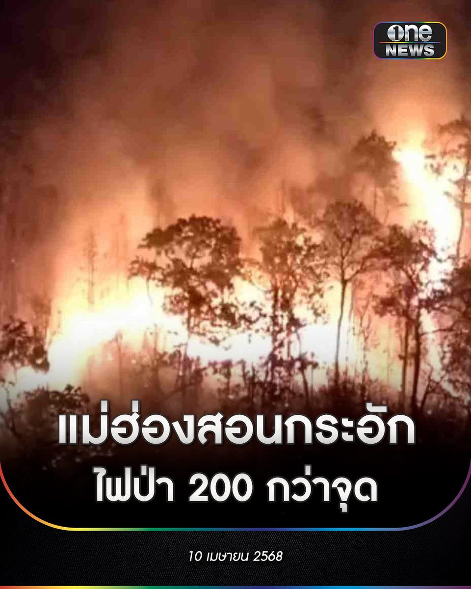 ข่าวช่องวัน tweet media