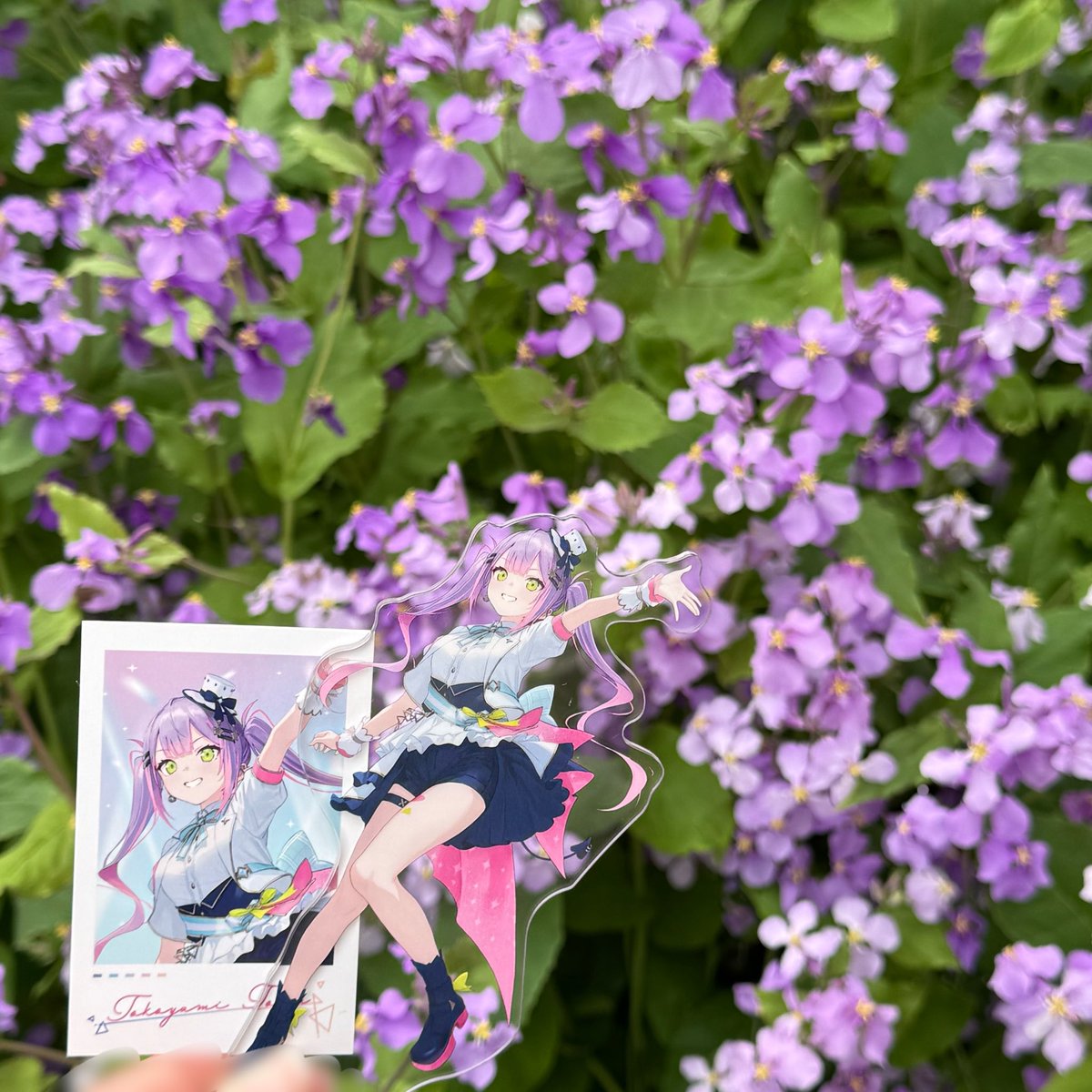 ha_pe3's tweet photo. 推しとお花見てきた︎🫶🏻︎
 #ホロライ部 https://t.co/OUPyx4eY7m