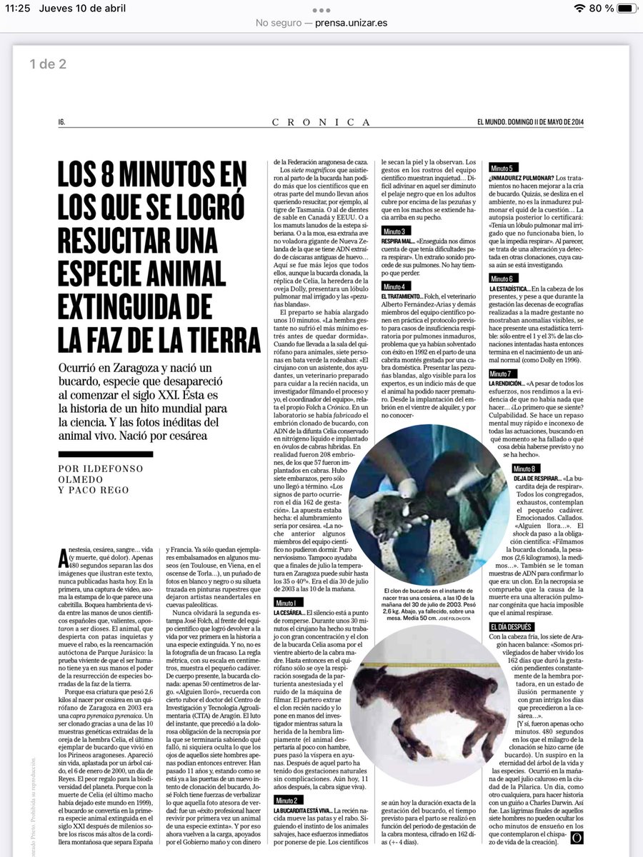 Ildefonso Olmedo tweet media