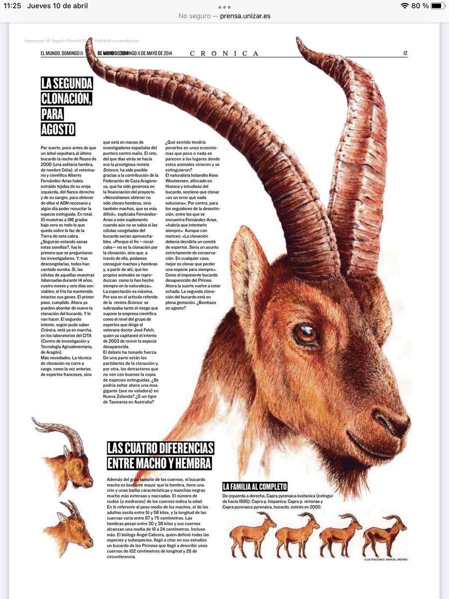 Ildefonso Olmedo tweet media