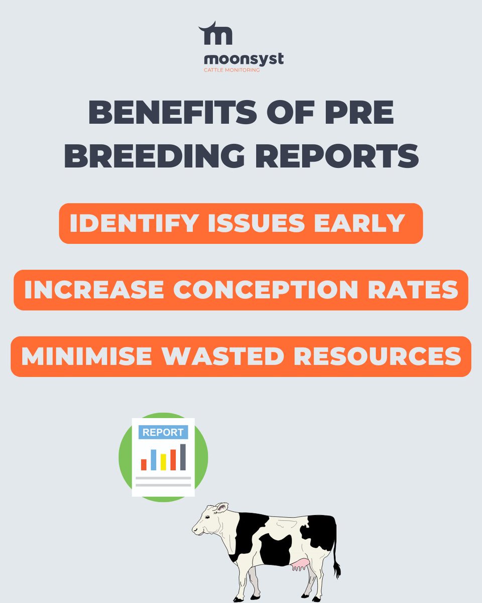 Preparing for breeding season is crucial to ensure the success of your herd’s reproductive performance 🐄📊

Pre-Breeding reports, can help make informed decisions that set you up for a more efficient and profitable season. Here’s how they can benefit your farm: