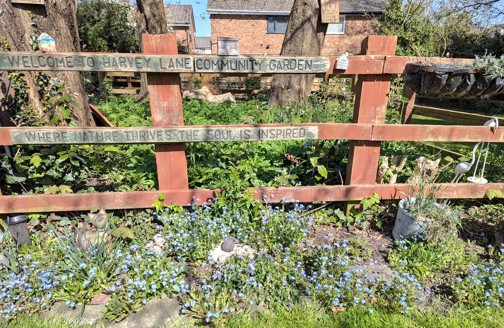 Jeans_Gems's tweet photo. A visit to the beautifully looked after #HarveyLane #MemorialGarden #Golborne #Wigan ๐๐ Here can be found various flowering plants ๐ฑ as well as cut flowers to remember #lovedones ๐ A beautiful #commabutterfly stayed awhile in the sunshine ๐ฆ @4165180Jp @goldfinches12 https://t.co/EaCIu34lBT