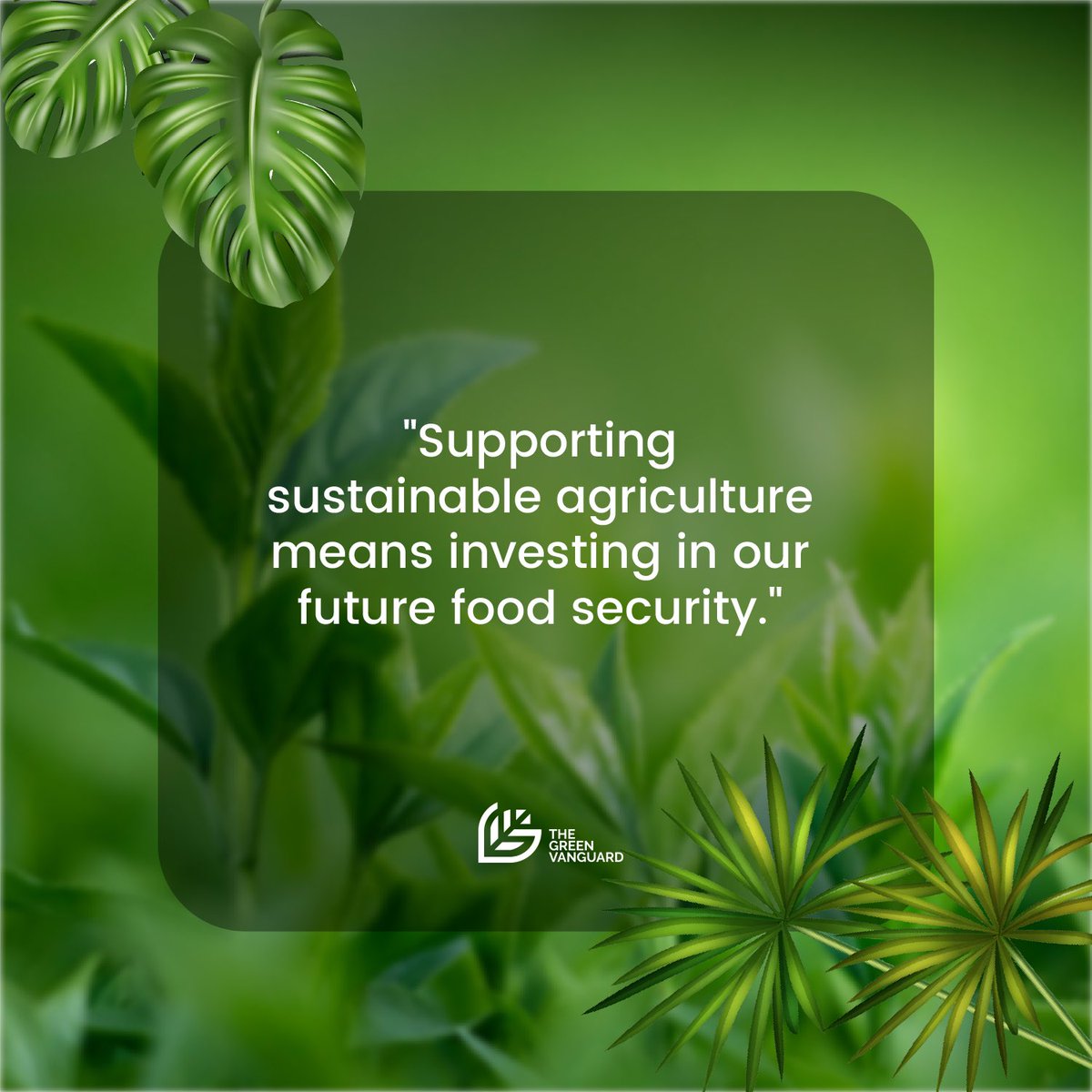 GreenVanguard's tweet photo. Grateful for the opportunity to expand our #Farm2Feed program in schools across Ghana ! https://t.co/LIMrygZ4MT