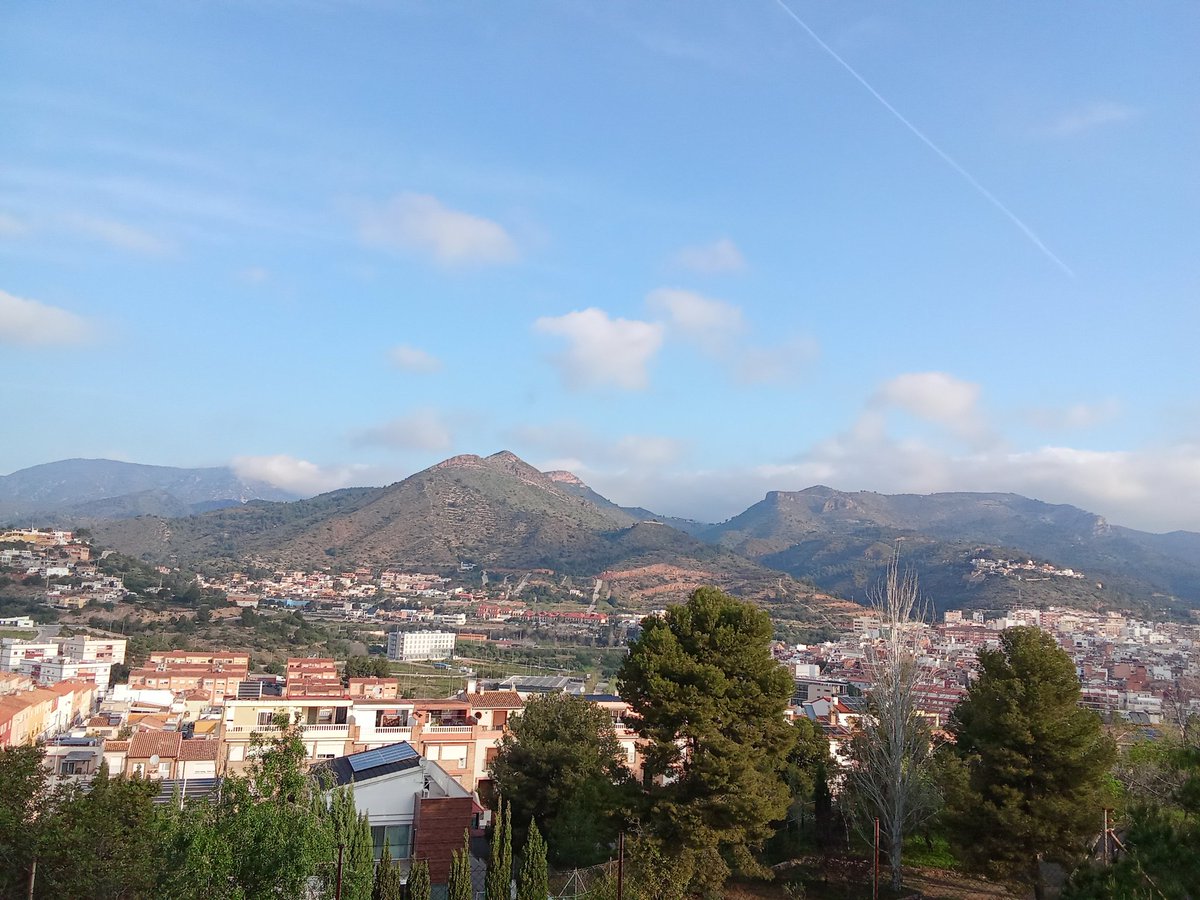 M. Amparo Valls tweet media