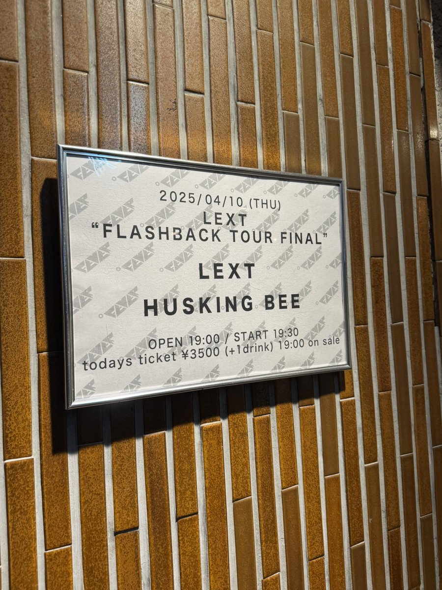 tommy311tommy's tweet image. #lext
#huskingbee