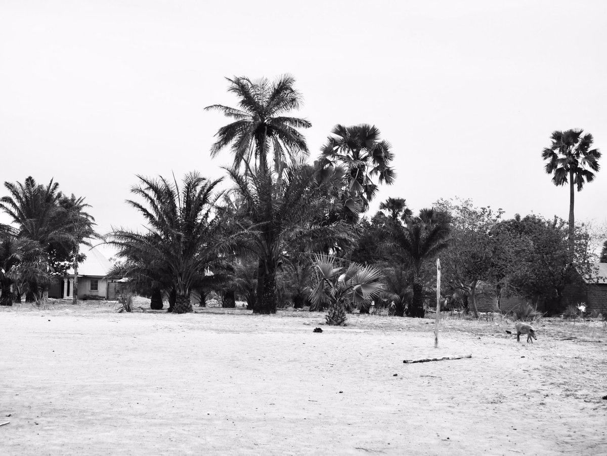 Talking about adventure, we had a good time with the people of Chip of Pankshin, Plateau State. The food &amp; palm wine 😋. Had a good chat about their heritage and the legacy they want to leave behind. One which was to record &amp; keep for the next generation, we did that yesterday