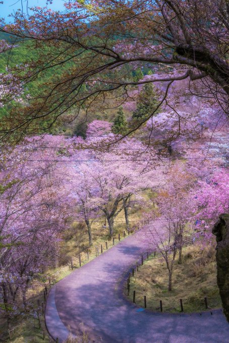 Twitterのコスプレ画像21