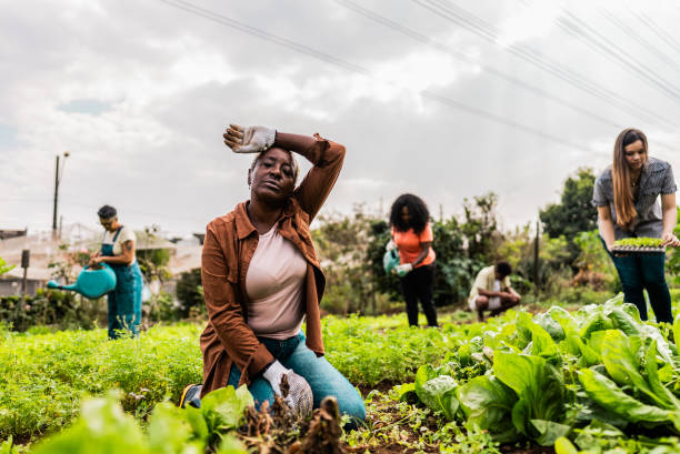 As the #heat intensifies, our farmers toil under the sun. They rise early, labor tirelessly, and persist even in the sweltering heat.

Let’s honor their dedication and resilience towards feeding the nation

#ThankfulThursday❤️