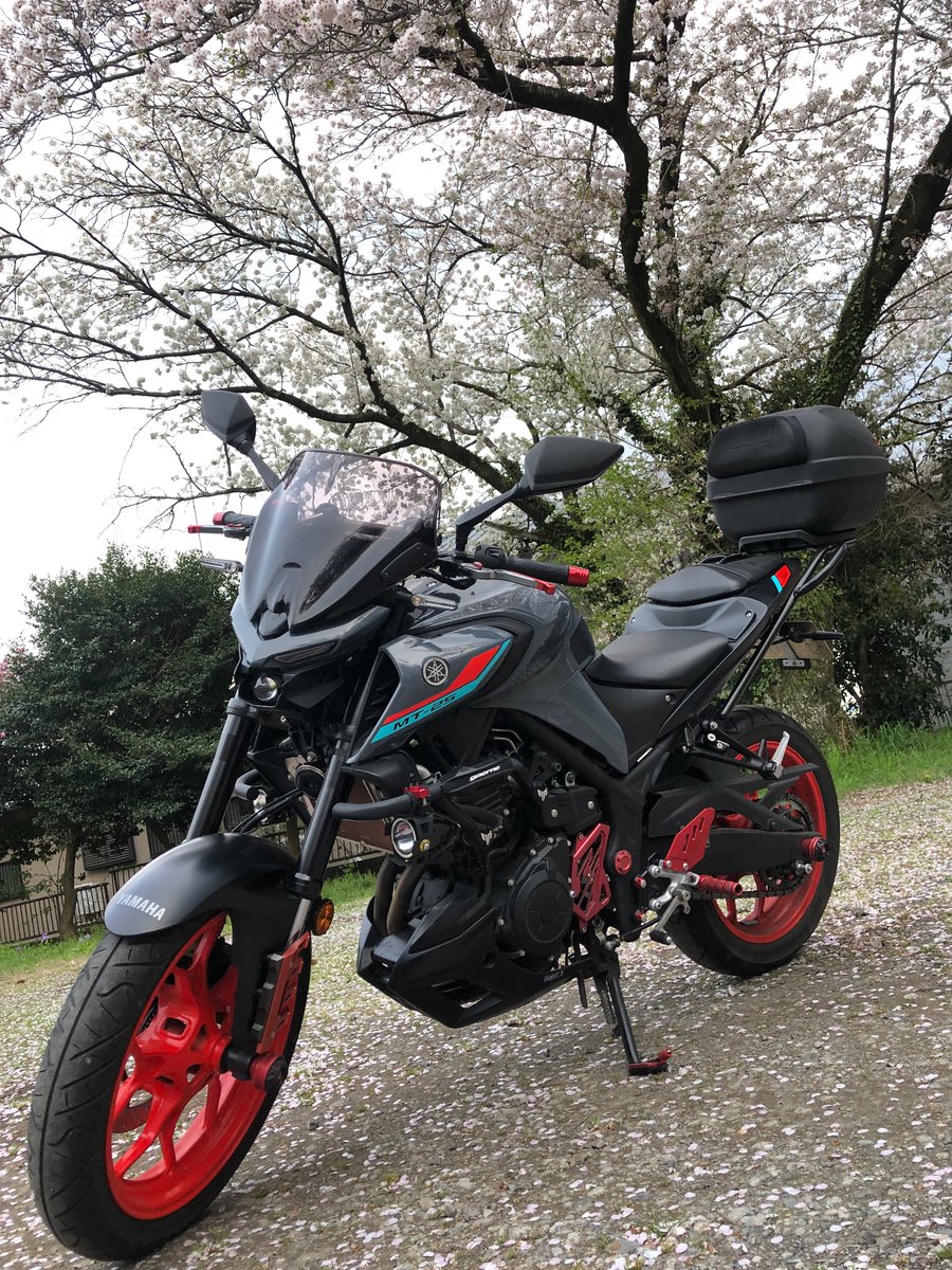 3to_46's tweet photo. この葉と花の絶妙な割合の時期が好きです
(訳:僕のかっちょいいバイク見てください) https://t.co/8sHV1FsIAj