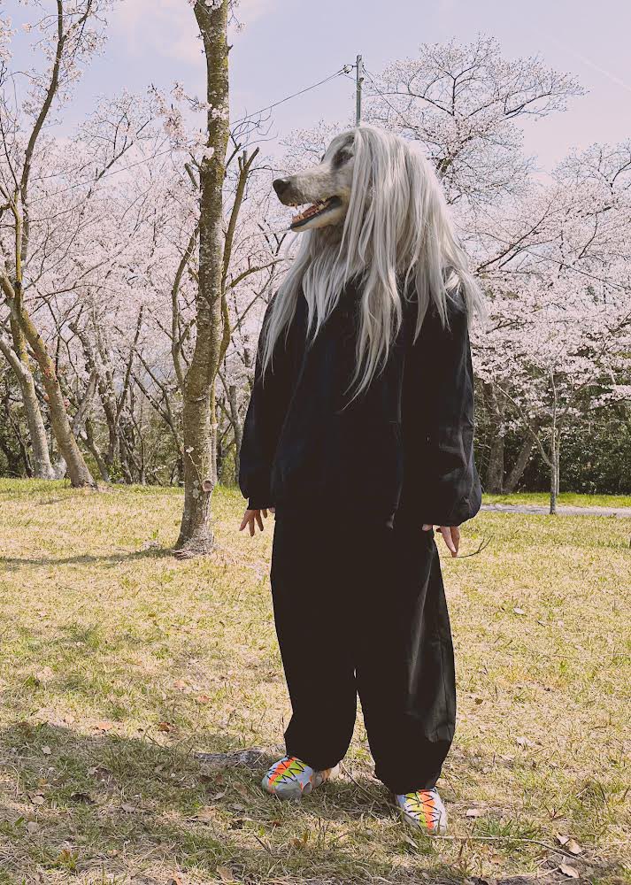 kamonohashiz's tweet photo. sakioさんの犬化計画に協力させていただきました。我ながらすごく格好良いアフガンハウンドを生み出してしまった...。
犬化してますますパワーアップしたsakioさん、これからのご活躍も楽しみにしています！🐾 https://t.co/4QWyB5hlSU