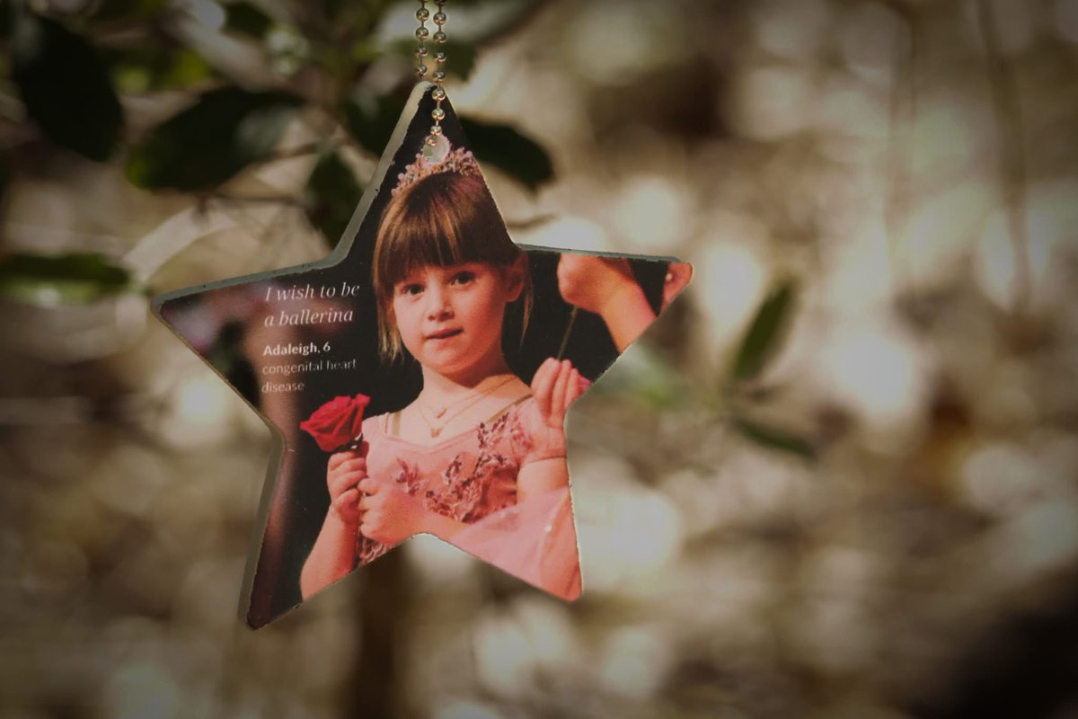 Hike weekend for <a href="/MakeAWishSC/">Make-A-Wish South Carolina</a> 💙