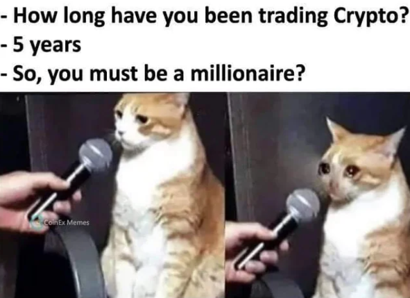 Millionero (@millioneroex) on Twitter photo 