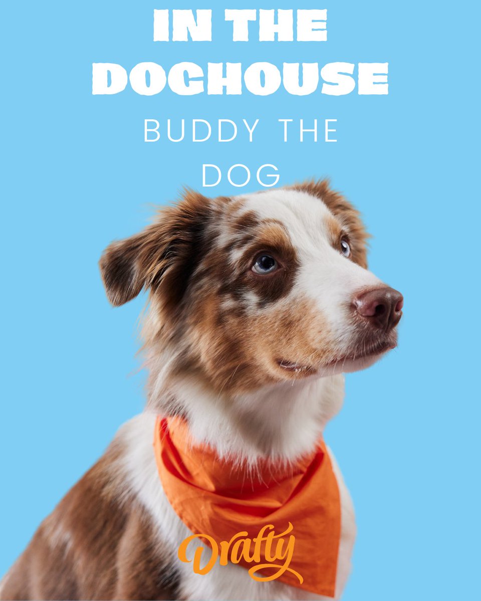 drafty_uk's tweet image. 🎬Introducing Buddy
The adorable face with a slightly destructive side.🐾💥
Starring in our brand new Drafty advert, Buddy’s got a nose for trouble and a taste for cushions. Stay tuned to see the chaos unfold and how Drafty helps clean it up.✨ 
Representative 96.2%APR (variable)