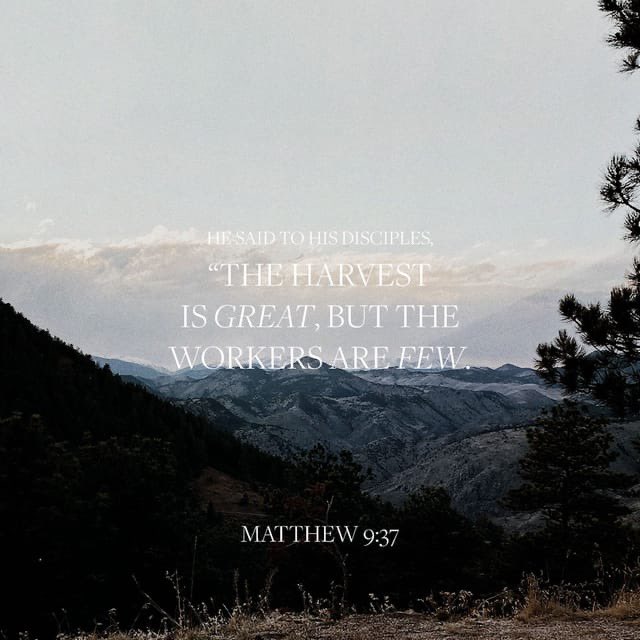 undercoverwatch's tweet photo. https://t.co/tB9EwD519s