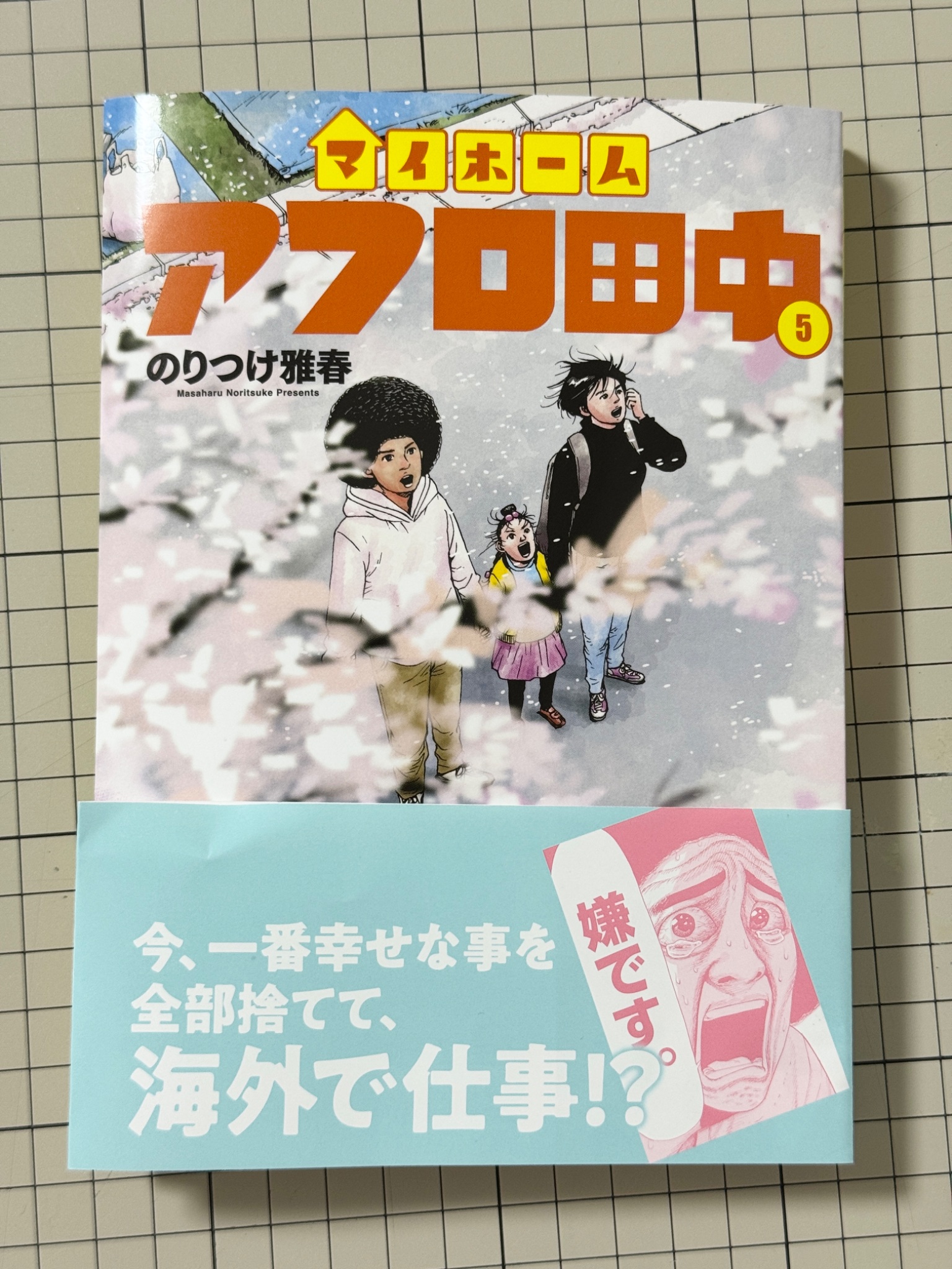 Highlights by アフロ田中描いてます｡ マイホーム⑤ 発売中