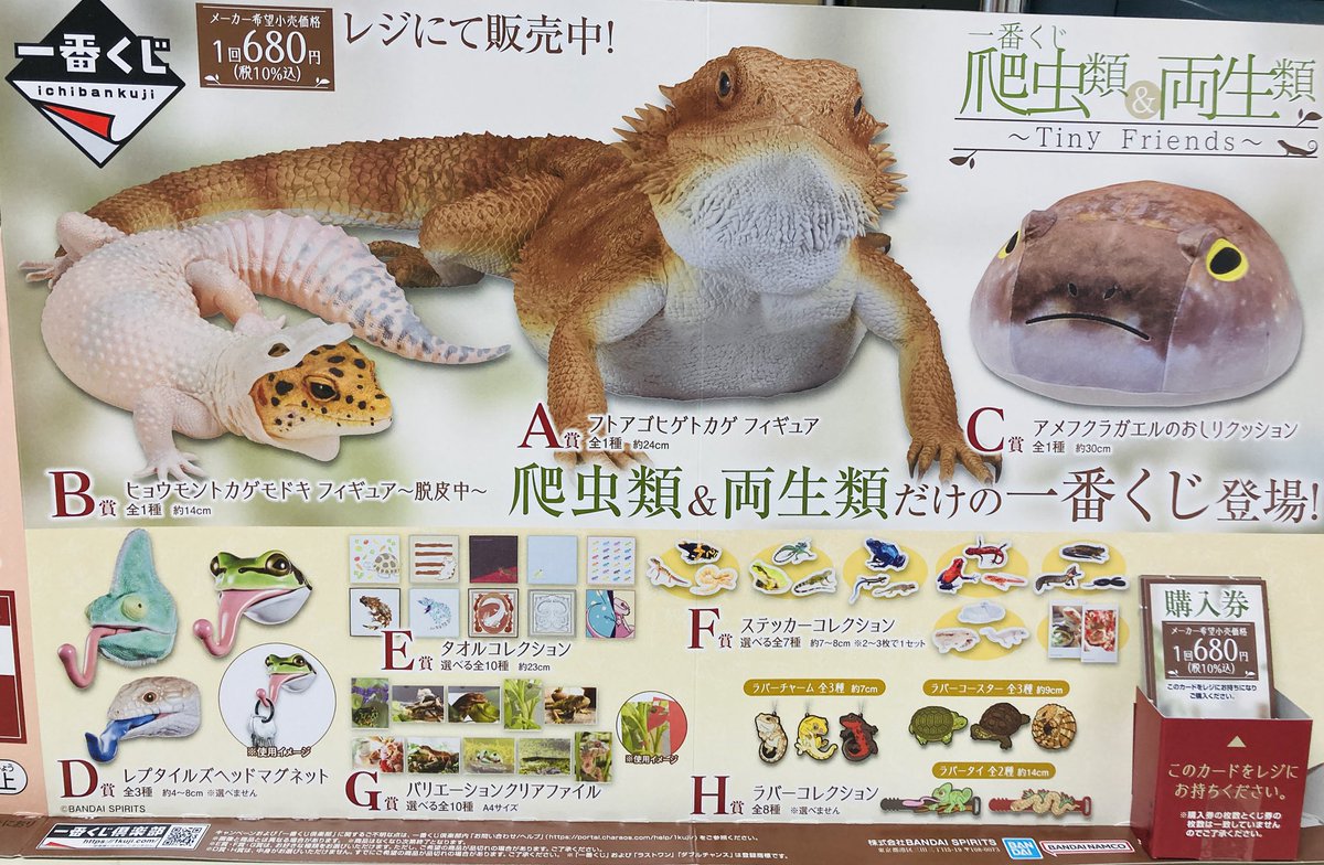 一番くじ 爬虫類&両生類 B賞 ヒョウモントカゲモドキ 脱皮中
