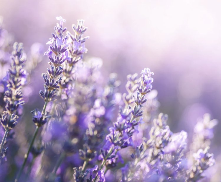 There’s always a second change:

“As for those who repent, believe, and do good deeds, they are the ones whose evil deeds Allah will change into good deeds. For Allah is All-Forgiving, Most Merciful.”

- Quran 25:70 -