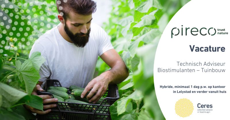 #vacature <a href="/PirecoBV/">Pireco®</a>: Technisch Adviseur Biostimulanten – Tuinbouw bij Pireco, hybride, minimaal 1 dag per week op kantoor in Lelystad en verder vanuit huis #gewasgroei #wortelmilieu #biostimulanten #aanspreekpunt. Zie agriholland.nl/vacaturebank/4…