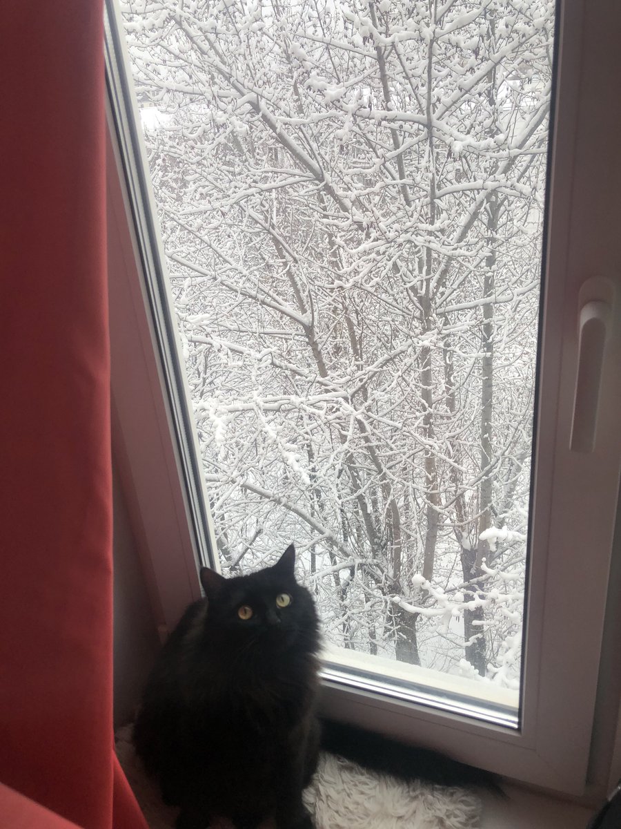 ну и что это за хуйня?