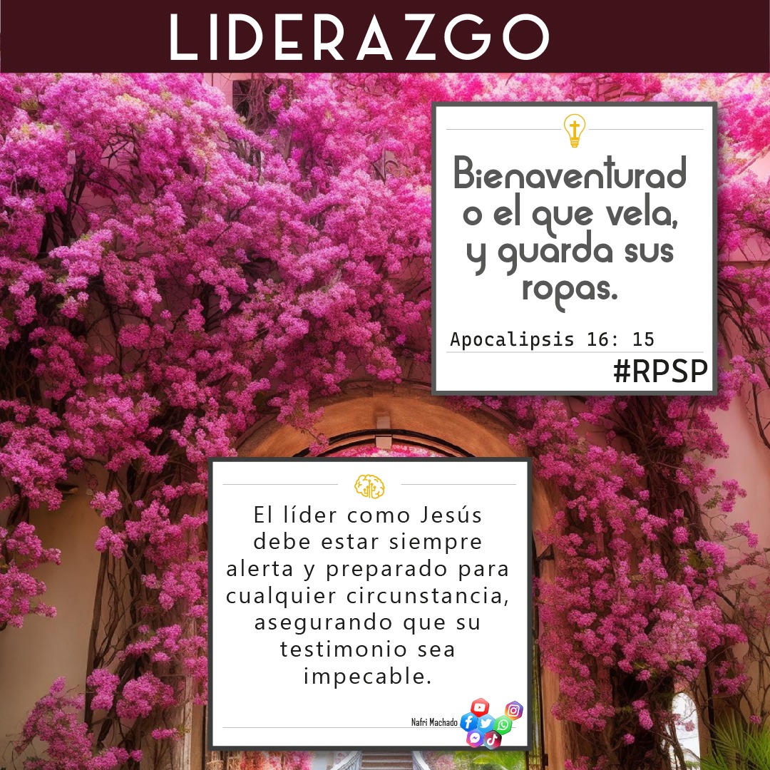 📖Apocalipsis 16: 15 Bienaventurado el que vela, y guarda sus ropas.✝
🤔El líder como Jesús debe estar siempre alerta y preparado para cualquier circunstancia, asegurando que su testimonio sea impecable.🧠
🪫¡Feliz Jueves!🪫
👍🏻 DALE LIKE – ↪ COMPARTE – ☝🏻
#liderazgo #RPSP #vnma
