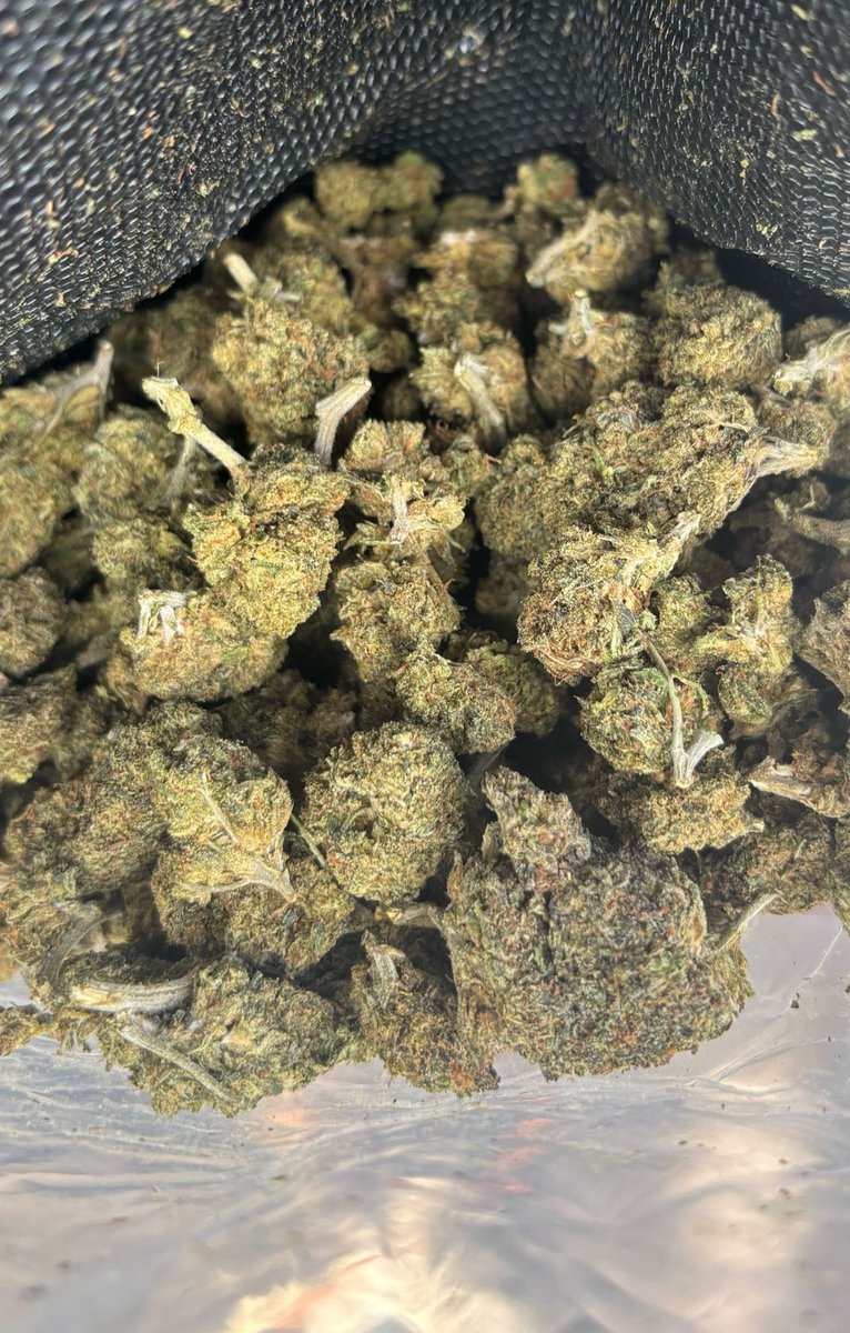 🦅 (@jevaldoo) on Twitter photo 