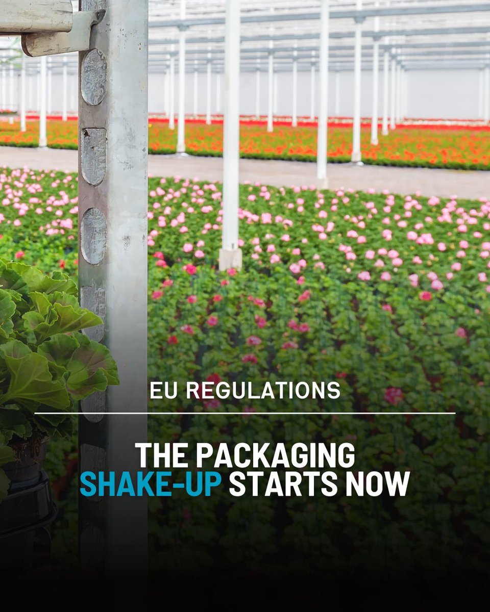 As EU rules tighten on packaging, the ripple effects will be felt across global supply chains.

Find out what you need to know on page 14: aiph.org/floraculture/l…